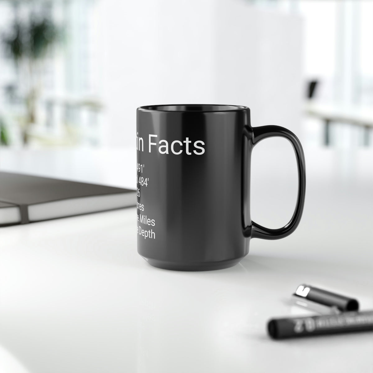 Lake Martin Facts Black Mug, 15oz - Market George