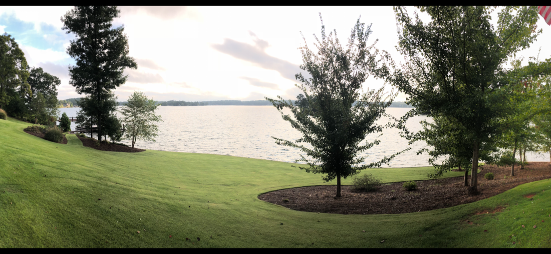 An introduction to the gem we call Lake Martin