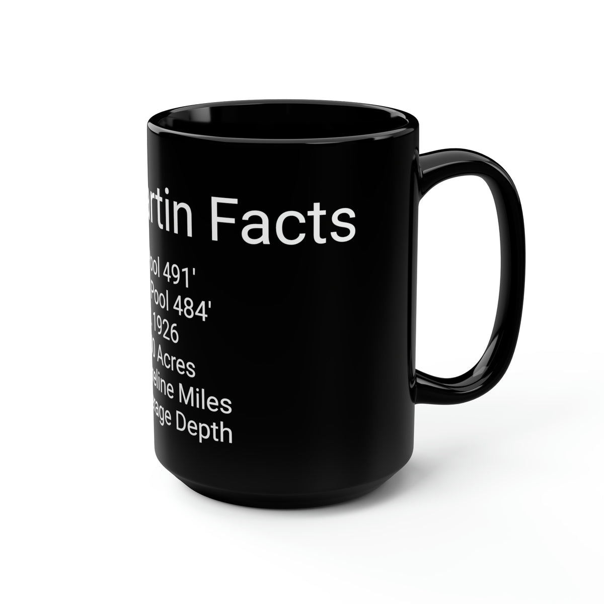 Lake Martin Facts Black Mug, 15oz - Market George