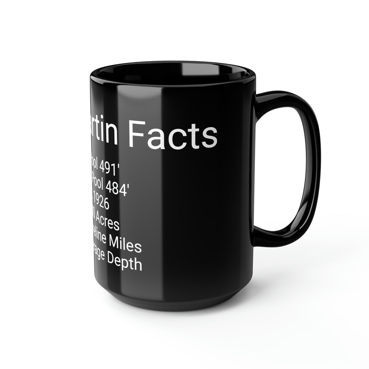 Lake Martin Facts Black Mug, 15oz - Market George